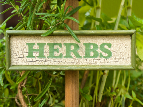 Grow Your Own Herbs